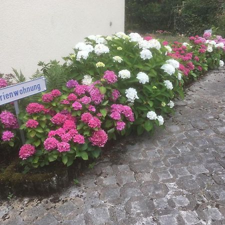 Ferienwohnung Sponheim Traben-Trarbach Zewnętrze zdjęcie