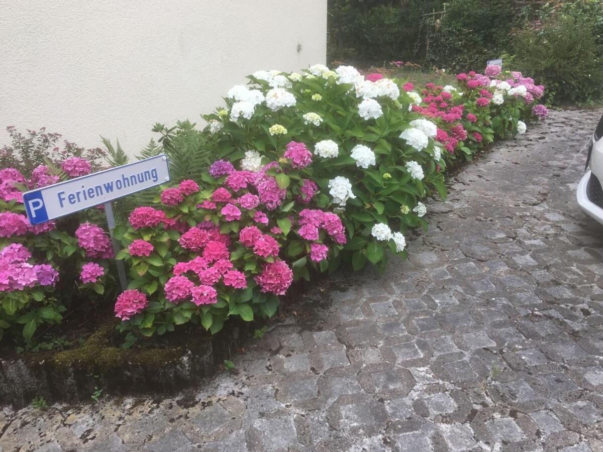 Ferienwohnung Sponheim Traben-Trarbach Zewnętrze zdjęcie